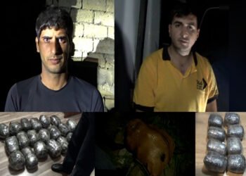 DİN əməliyyat keçirib, 30 kq narkotik aşkarlanıb – VİDEO