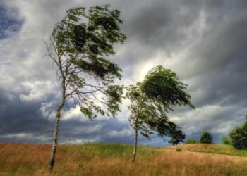 Sabah hava necə OLACAQ?