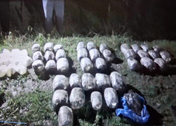 Astarada 55 kq narkotik aşkarlanıb – VİDEO