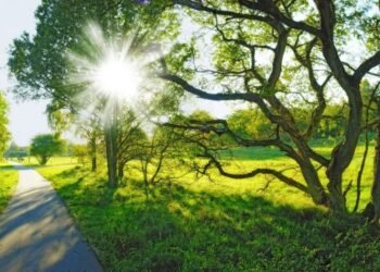 Sabah 25 dərəcə isti olacaq