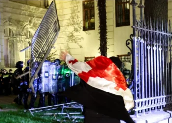 Tbilisi olayları ilə bağlı daha 13 nəfər həbs olundu