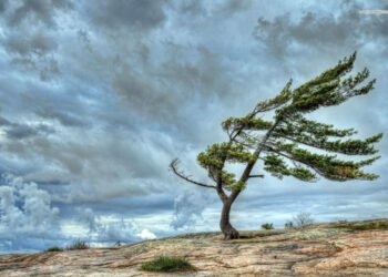 Sabah güclü külək əsəcək – XƏBƏRDARLIQ