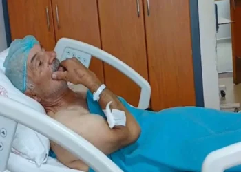 Çöl donuzuna hücum edən fermer yaralandı