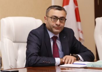 “Macarıstan dünyada sülh üçün ən çox çalışan dövlətlərdəndir” – SİYASİ ŞƏRHÇİ
