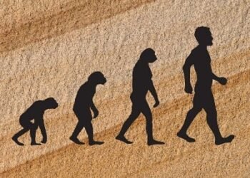 Alimlər insanların iki ayaq üzərində yeriməyə imkan verən genetik dəyişiklikləri aşkar ediblər