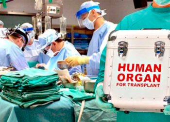 SN-nin canlı yayımında orqan donorluğu və transplantasiyasından danışılacaq