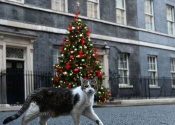 Dauninq-Stritdə Larri pişiyinin “qaçışı” diqqət çəkdi