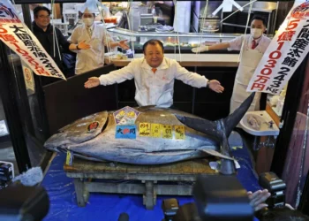 Suşi şirkəti 2,8 milyon avroya tuna balığı alıb