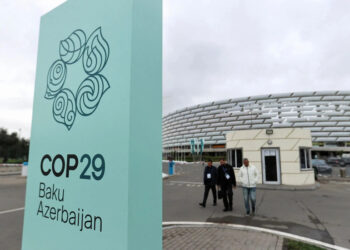 COP29 Azərbaycan Əməliyyat Şirkəti ləğv edildi