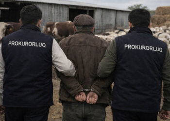 Çobanlar yarım milyonluq cinayətə görə həbs edildi