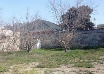 ​İsmayıllıda 2 milyon manata torpaq satılır