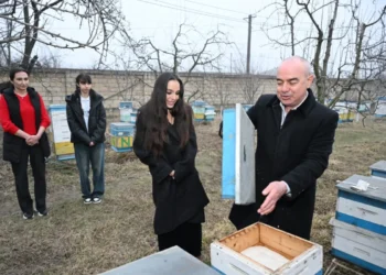 Leyla Əliyeva Qubada arıçı ailəsinin qonağı olub