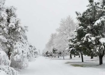 Bu rayonda 53 sm qar yağdı