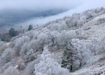 Bu rayonlara qar yağır