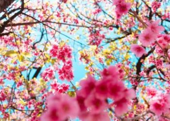 Sabah hava necə olacaq? – PROQNOZ