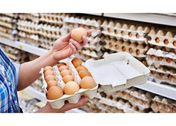 Yumurta ucuzlaşacaq - Bu tarixdən