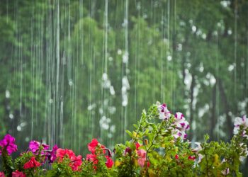 Yağış, dolu, qar... - Sabahın havası