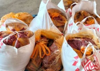 Qanunsuz at əti satışının qarşısı alındı
