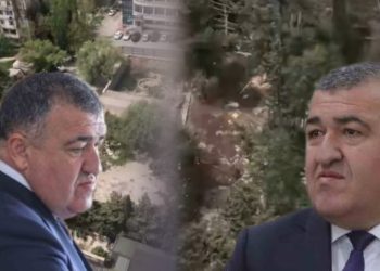 Xətaidə ekoloji terror: ağacları kəsib yerində bina tikirlər? - VİDEO
