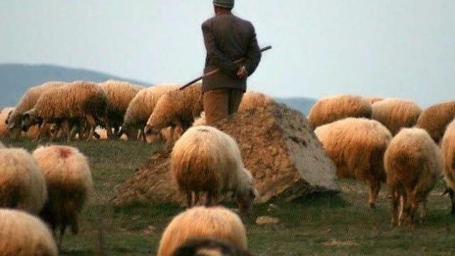 “Biz onu ölkəsinə qaytarmalıyıq” – Paşinyan həmin çobandan danışdı