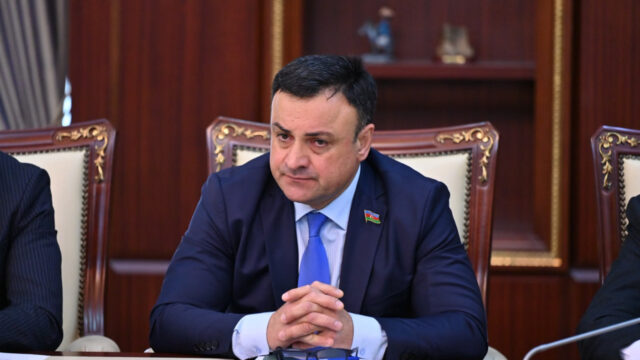 Müstəqillik əldə olunur, dövlətçilik isə qurulur – Rövşən Muradov