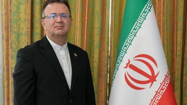 Tbilisidə səfirə sahibsiz itlər hücum etdi – Xəsarət aldı