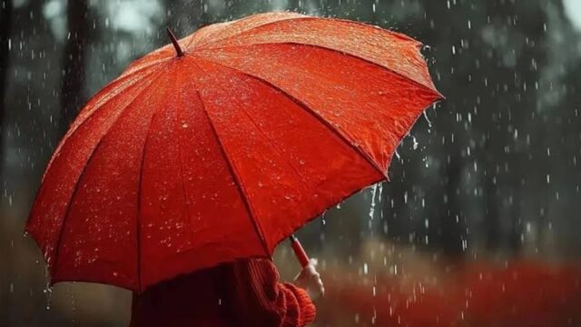 Yağış yağır – FAKTİKİ HAVA