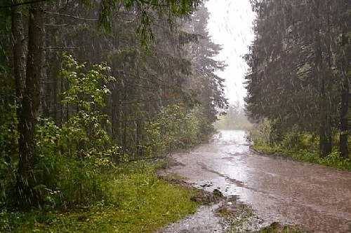 Güclü yağışlar başlayır: Temperatur 10 dərəcə enəcək